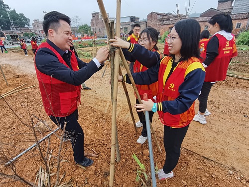 植树现场4.jpg