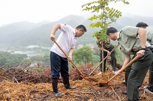 谢桂坤与大家植树.jpg