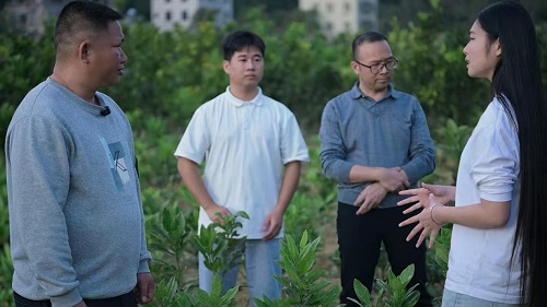 世界杯官网师生在旺垌村调研中.jpg