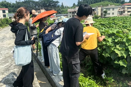 在特色果蔬种植基地采集素材.jpg