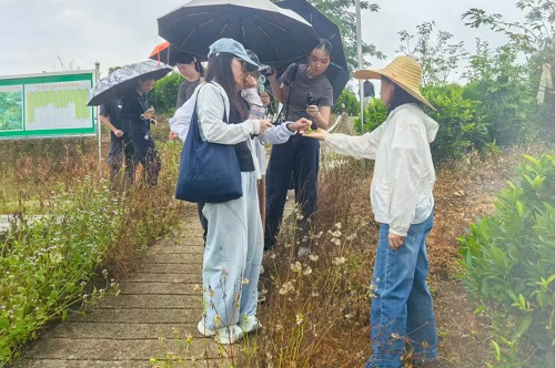 在茶山特色种植基地与茶农交流.jpg